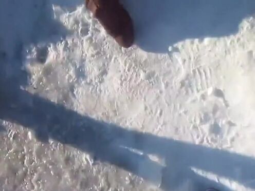 Порно фут фетиш лесби с белыми носками