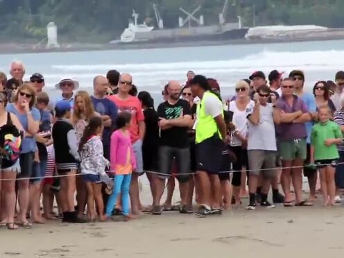 Порно трахай меня сильнее как тварь