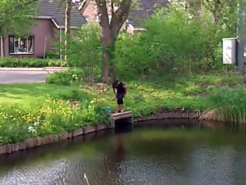 Секс яйца бьются об пизду