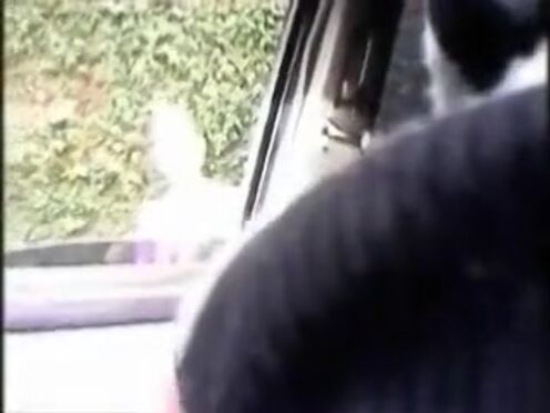 Уломал чужую жену на секс