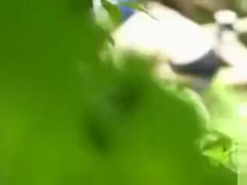 Жирные старухи секс втроем видео