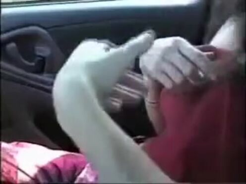 Всегда ебет ее когда захочет порно