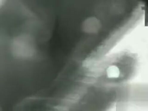 Смотреть порно видео зрелые мамочки на работе