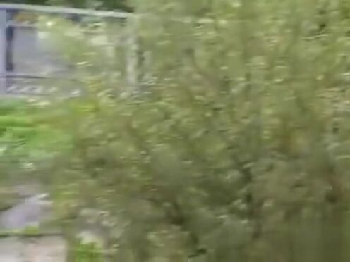 Секс порно парень трахает свою сестру сверху