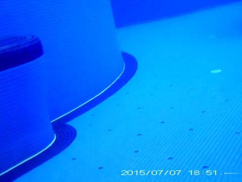 Мила викадс трансгендер смотреть видео порно