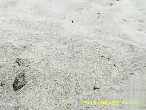 Ольга кузьмина голая секс бесплатно