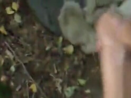 Смотреть жесткое порно парень отомстил за измену