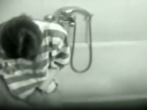 Трахают ани блэк фокс порно хаб