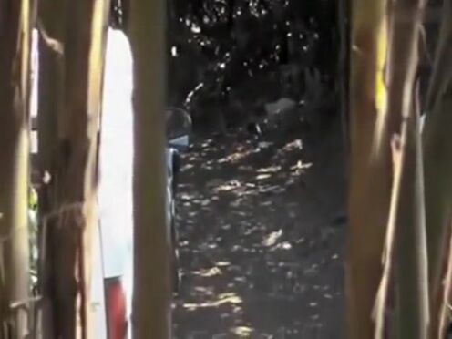 Порно видео мать секс рабыня