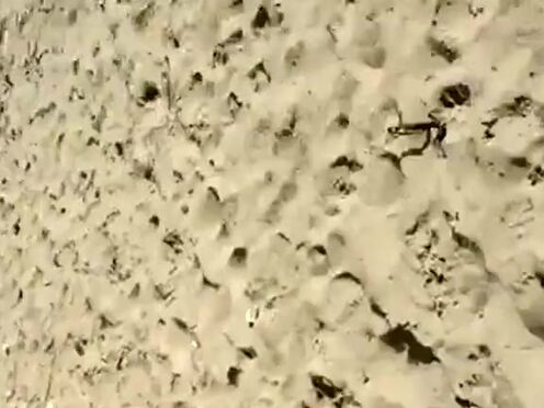 Трах озвучку красавица сестра приехала гости