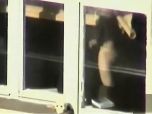 Смотреть порно видео про гермафродитов