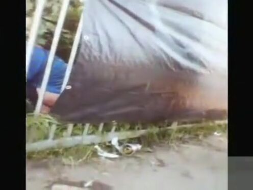 Порно видео боль двойного анала