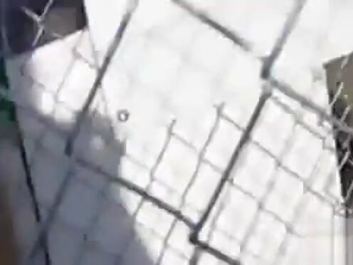 Познакомились и трахнулись в туалете