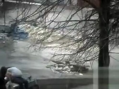 Одинокая мамаша просит секса