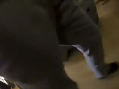 Куни с окончанием в ротик порно