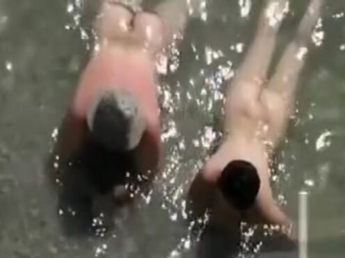 Широкие попы в колготках порно