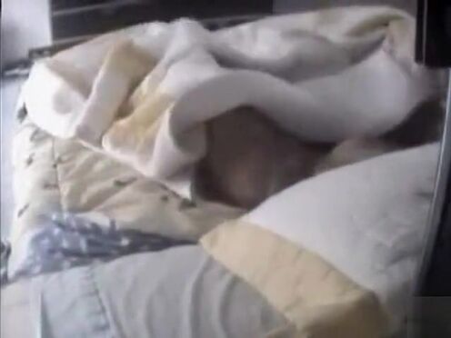 Трахнул милую немку